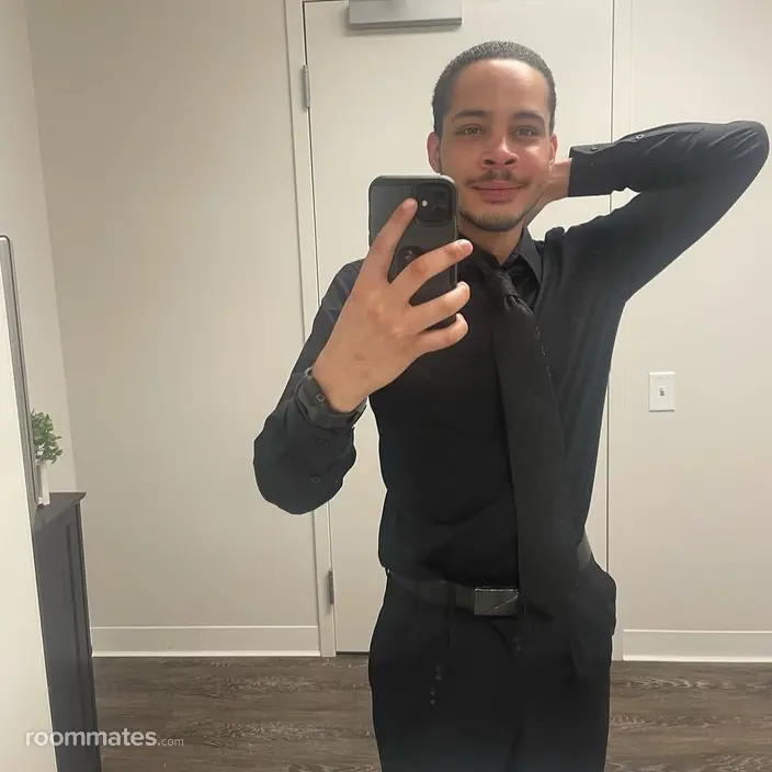 Roommate looking Evanston, IL, $800