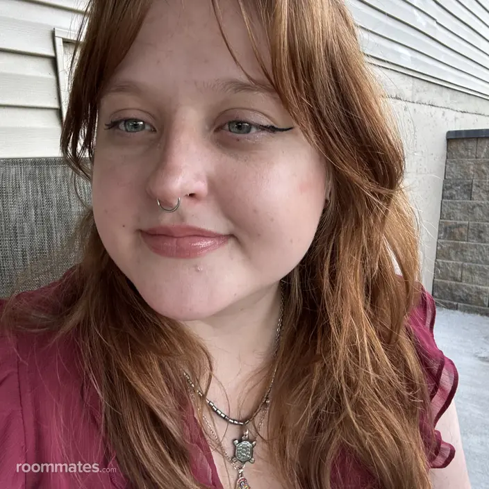 Roommate looking Dayton, OH, $800