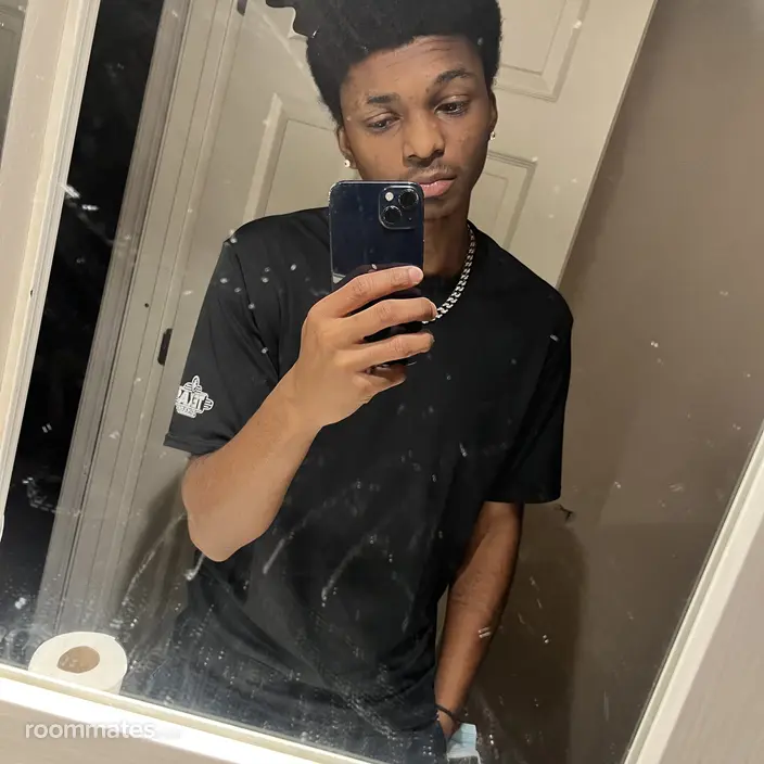 Roommate looking Phoenix, IL, $800
