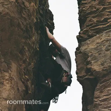 Thumbnail 13