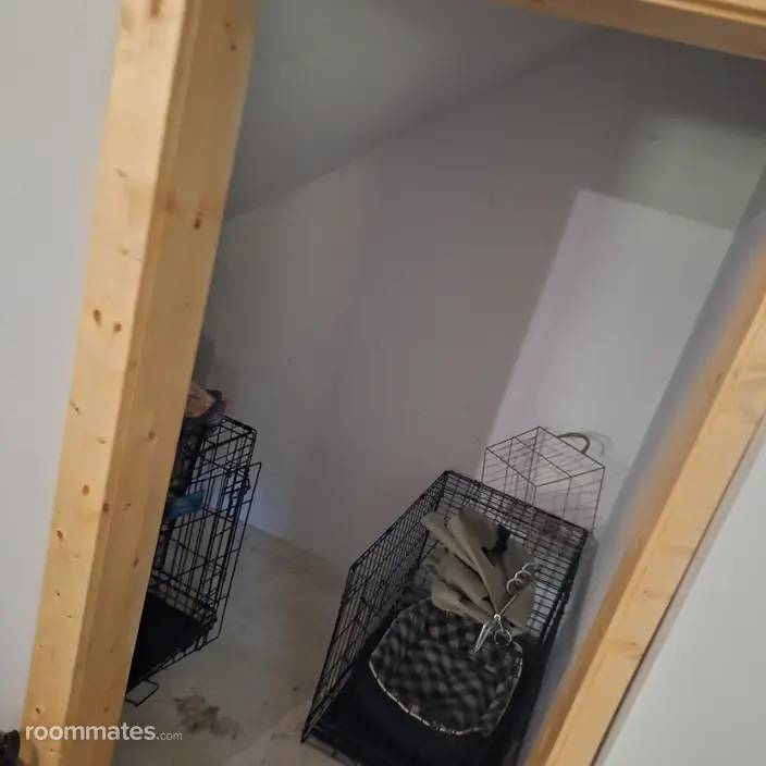 Room for rent in Shelbyville, MI $400, house