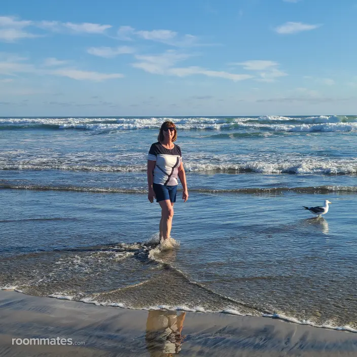 Roommate looking Vista, CA, $1200