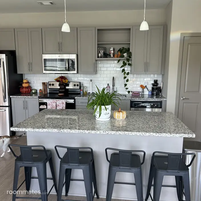 Room for rent in Nashville, TN $1100, apartment