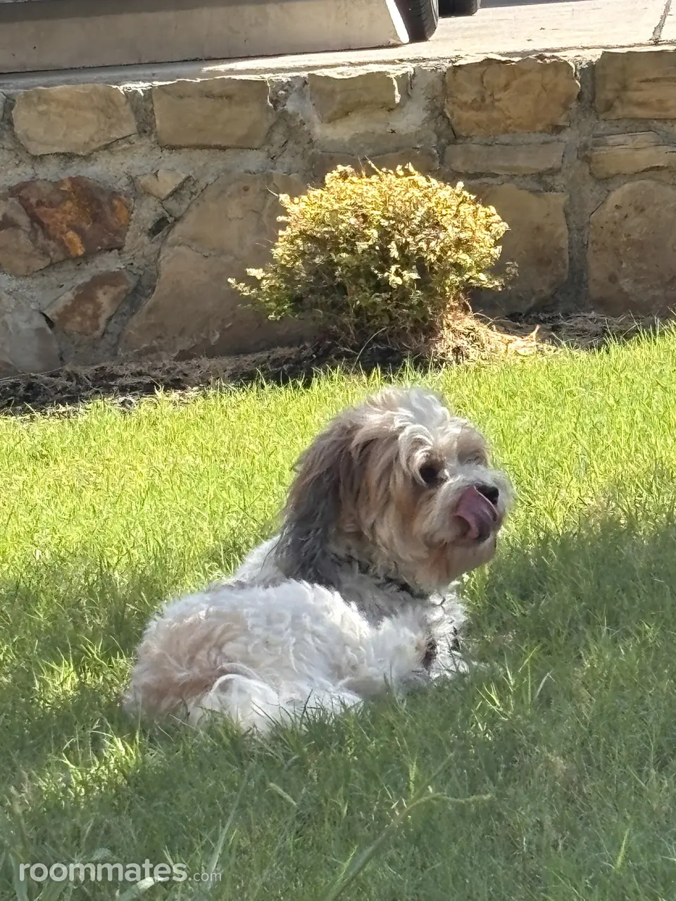 Profile photo 11 of 20