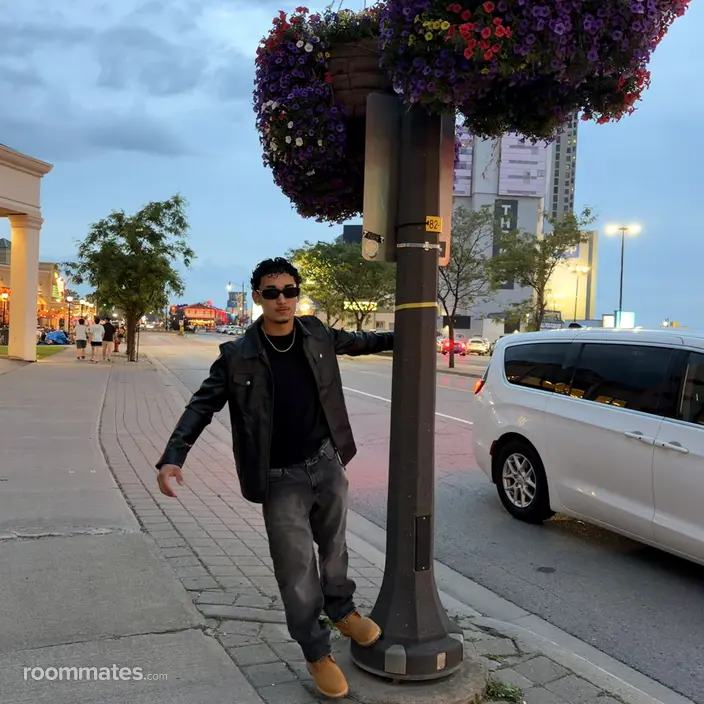 Roommate looking Ypsilanti, MI, $800