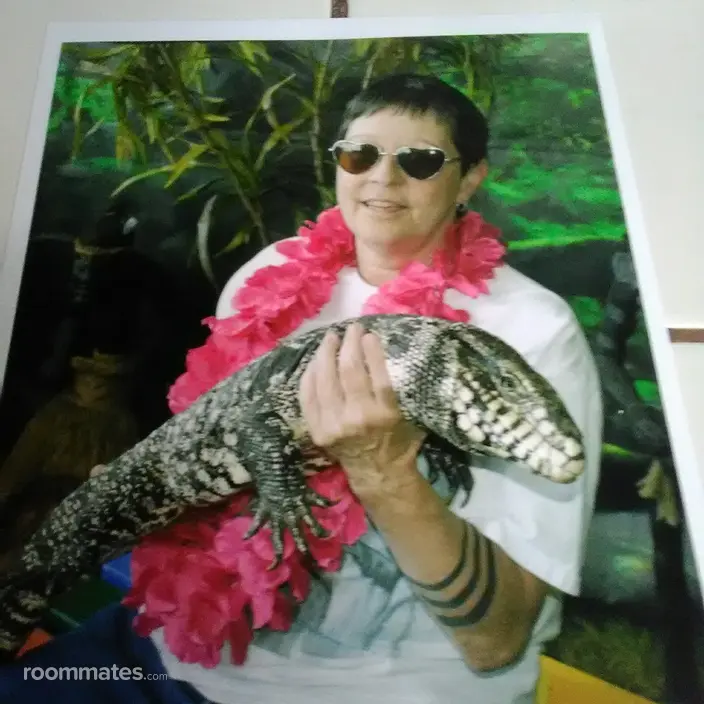 Roommate looking Omaha, NE, $700