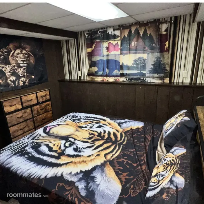Room for rent in Brooklyn Park, MN $700, house