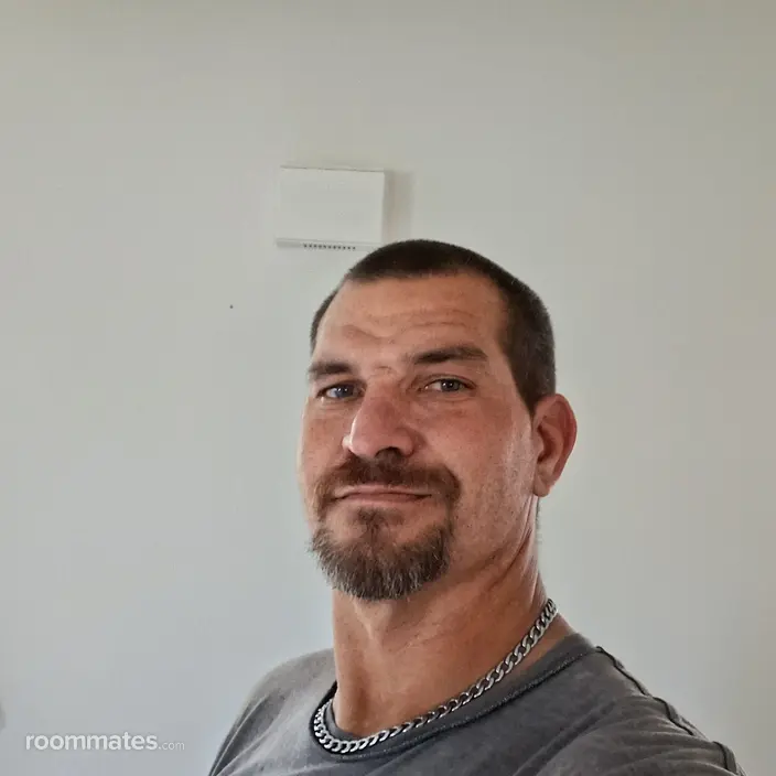 Roommate looking Holiday, FL, $800