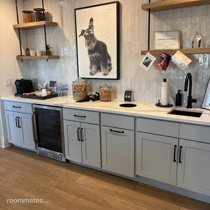 Room for rent in Tampa, FL $1000, apartment