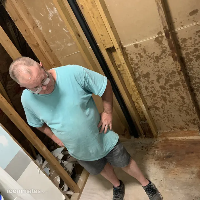 Roommate looking Athens, GA, $800