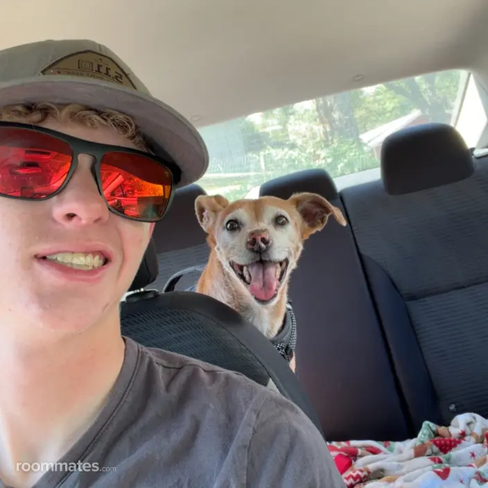 Roommate looking Visalia, CA, $1000