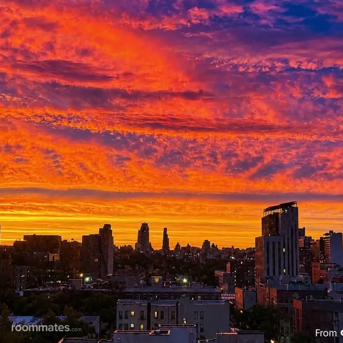 Roommate looking Maspeth, NY, $500