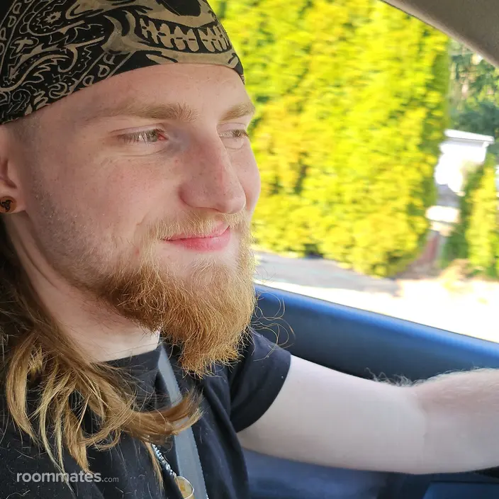 Roommate looking Everett, WA, $1600