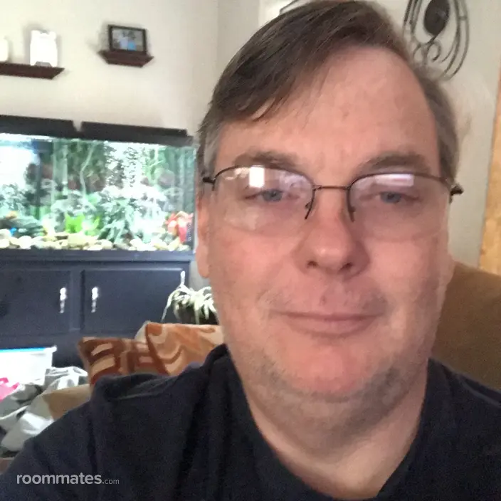 Roommate looking San Antonio, TX, $500