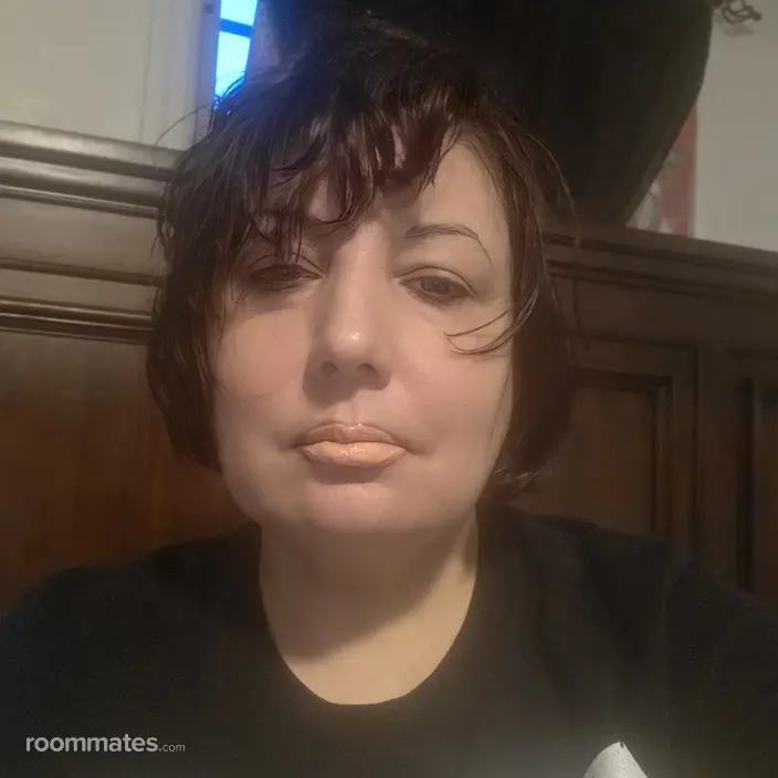 Roommate looking Maspeth, NY, $800