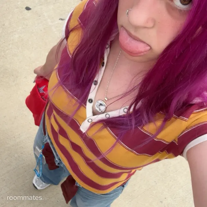 Roommate looking Arlington, TX, $1200