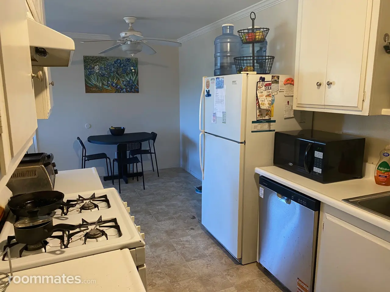 Profile photo 9 of 12