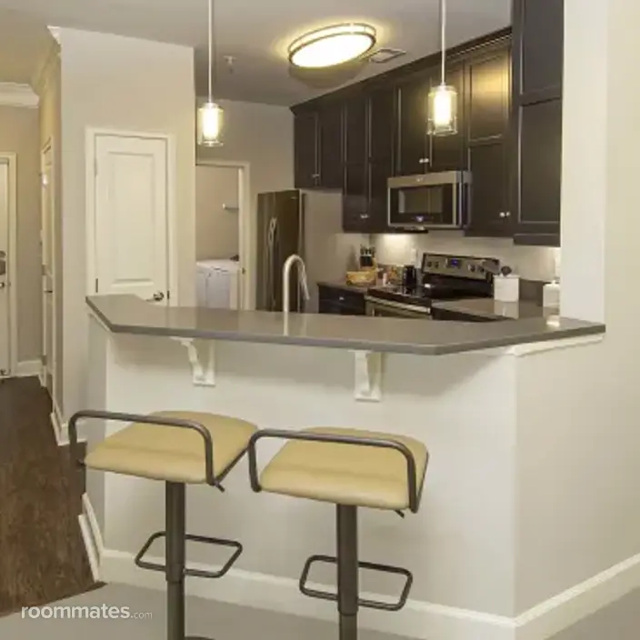 Room for rent in Knoxville, TN $2200, apartment