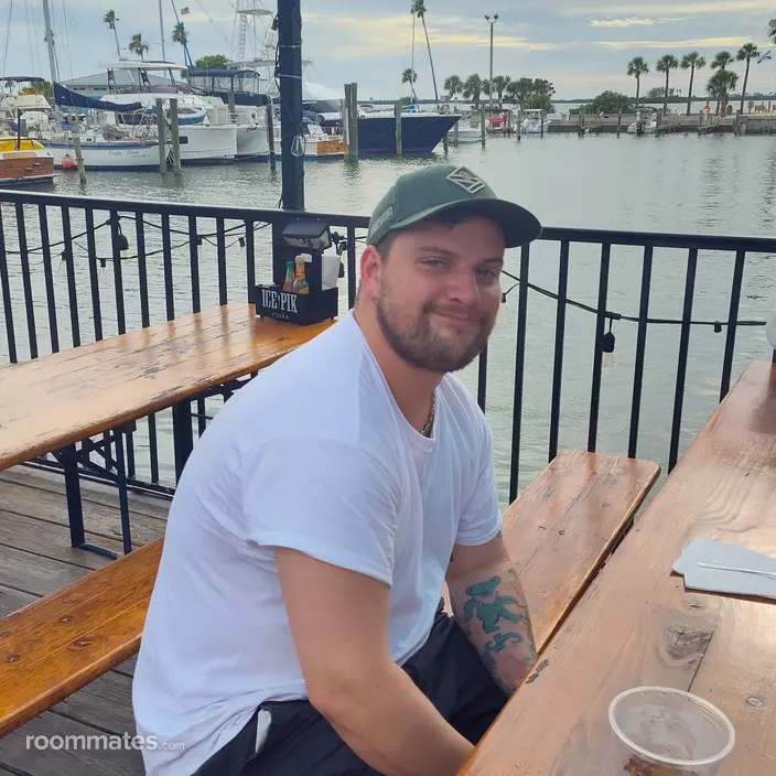 Roommate looking Dunedin, FL, $800