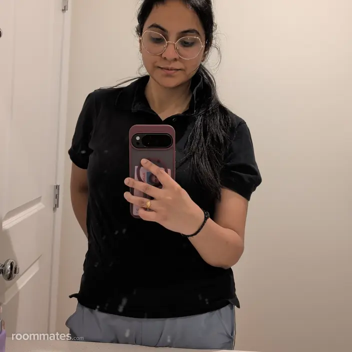 Roommate looking Dearborn, MI, $2000