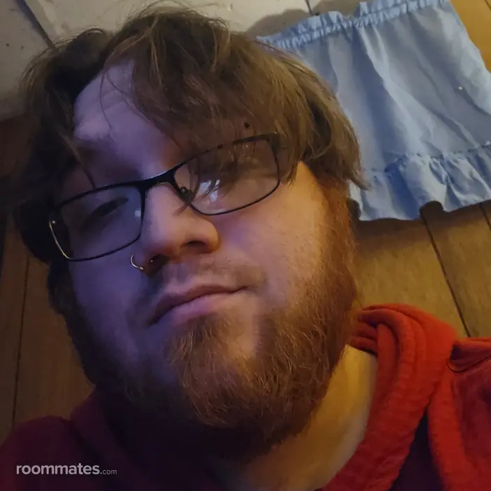 Roommate looking Minneapolis, MN, $1000
