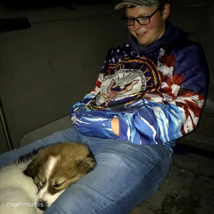 Roommate looking Colorado Springs, CO, $1000
