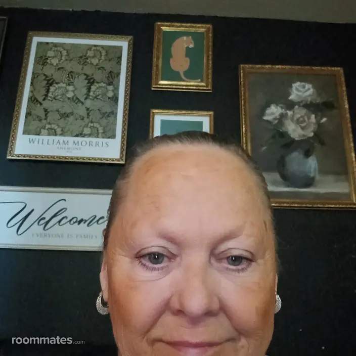 Roommate looking Las Vegas, NV, $500