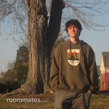 Thumbnail 11
