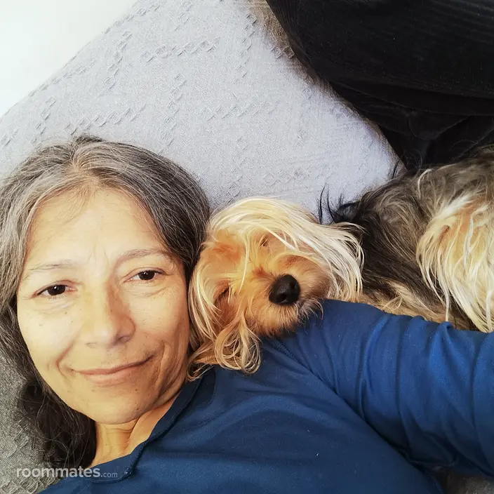 Roommate looking Stockton, CA, $900