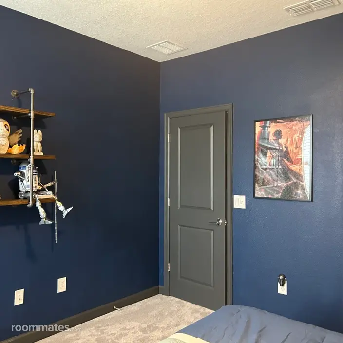Room for rent in Kissimmee, FL $1100, townhouse