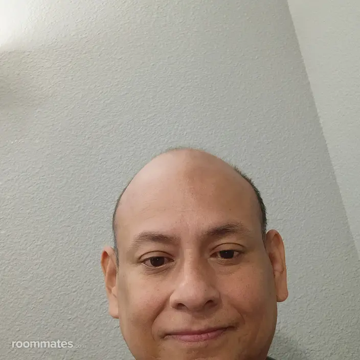 Roommate looking San Antonio, TX, $600
