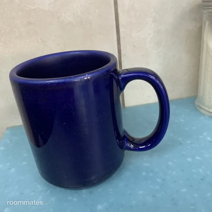 Roommate looking Berwyn, IL, $1000