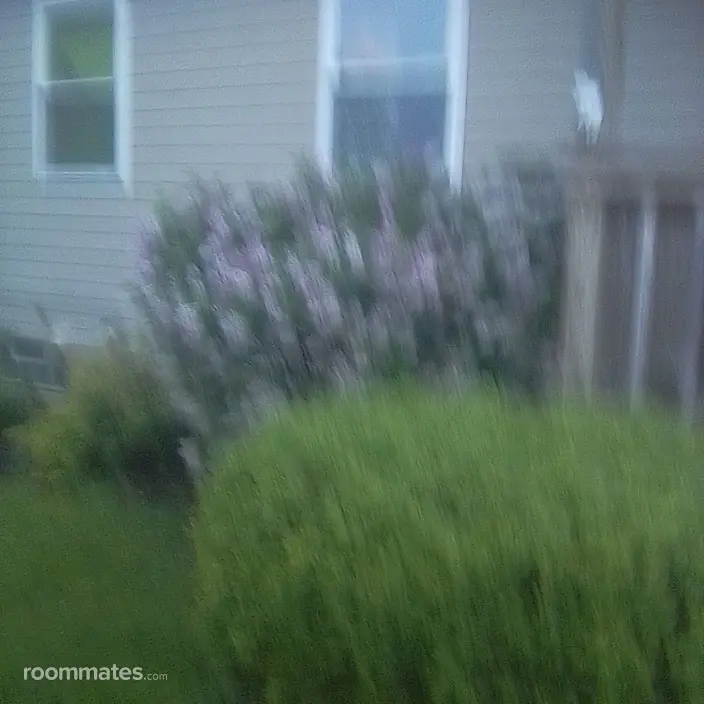 Room for rent in Coshocton, OH $400, house