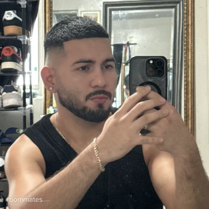 Roommate looking Houston, TX, $600