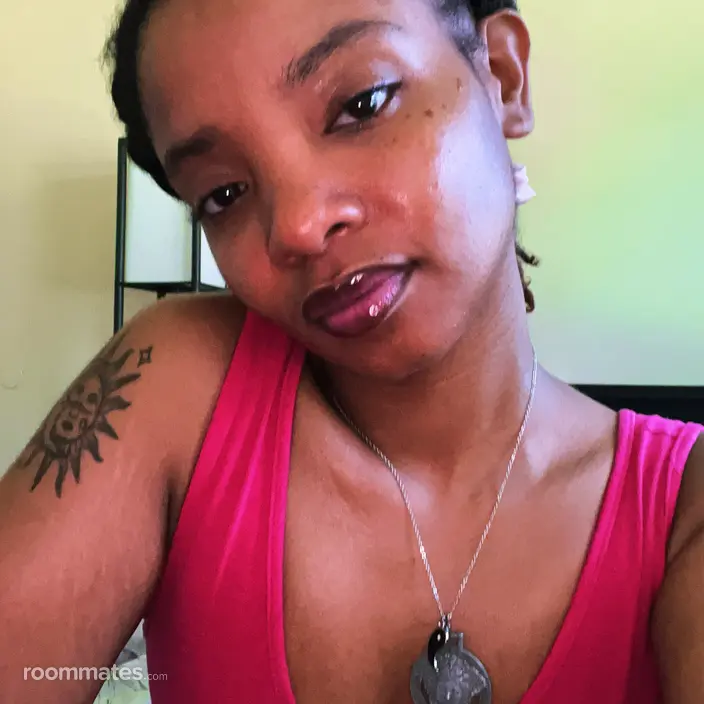 Roommate looking Norfolk, VA, $800