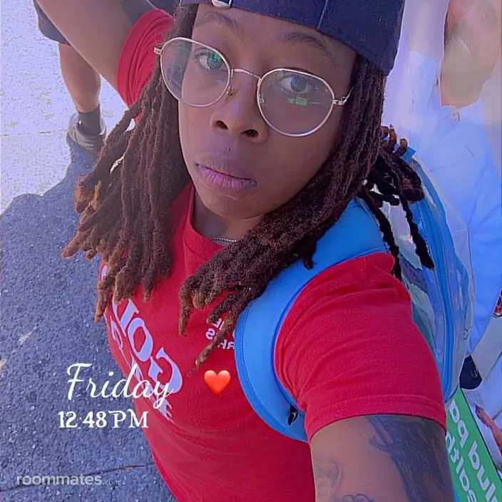 Roommate looking Tampa, FL, $1000