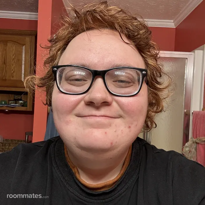 Roommate looking Carol Stream, IL, $1000
