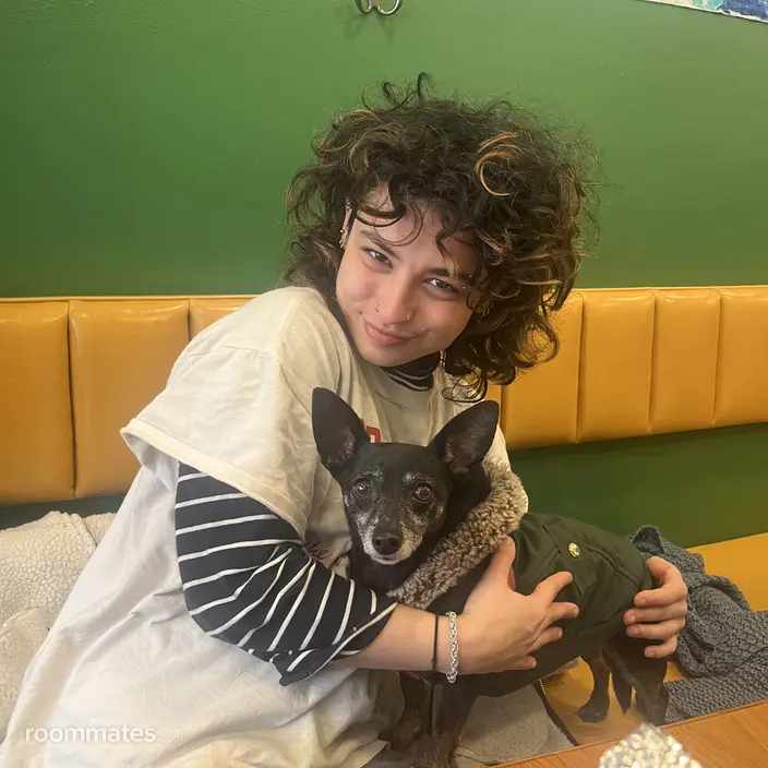 Roommate looking Brooklyn, NY, $1900