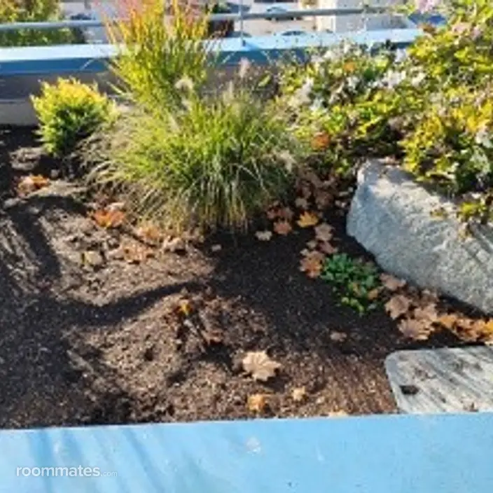 Roommate looking Edmonds, WA, $2000