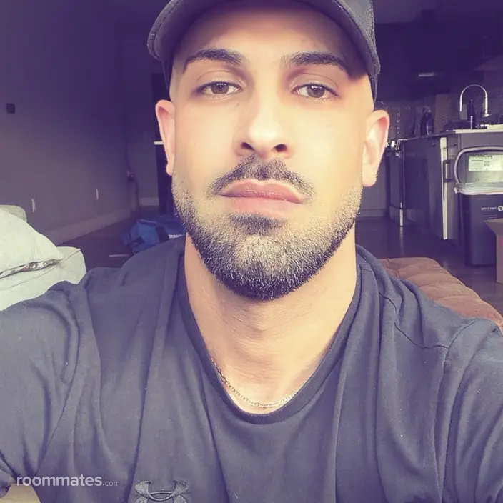 Roommate looking Troy, MI, $1000