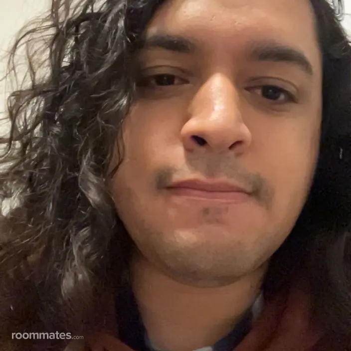 Roommate looking Orlando, FL, $700