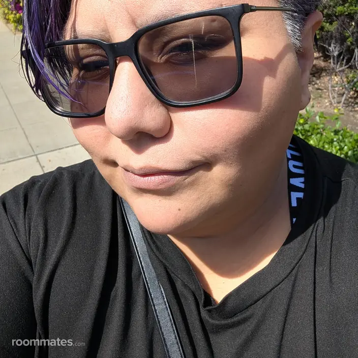 Roommate looking San Jose, CA, $1200