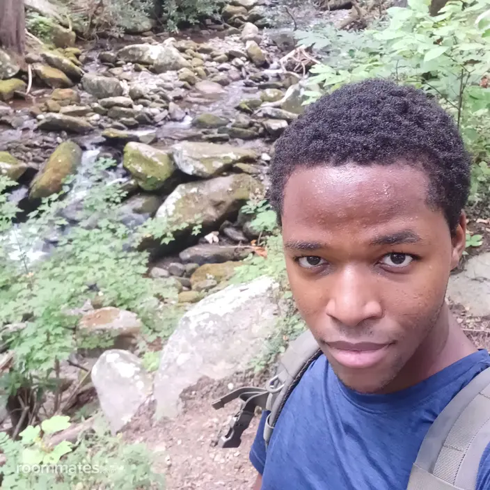 Roommate looking Brandon, FL, $1000