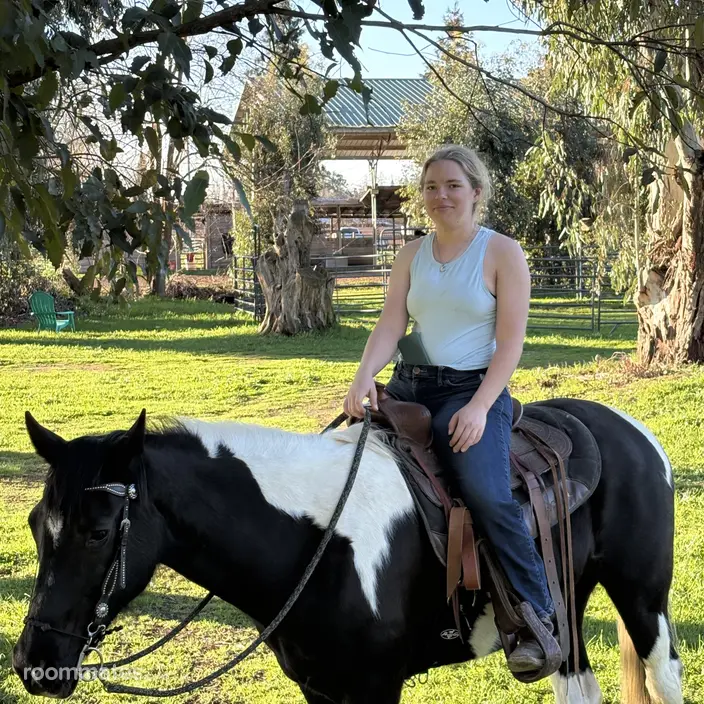 Roommate looking Elk Grove, CA, $700