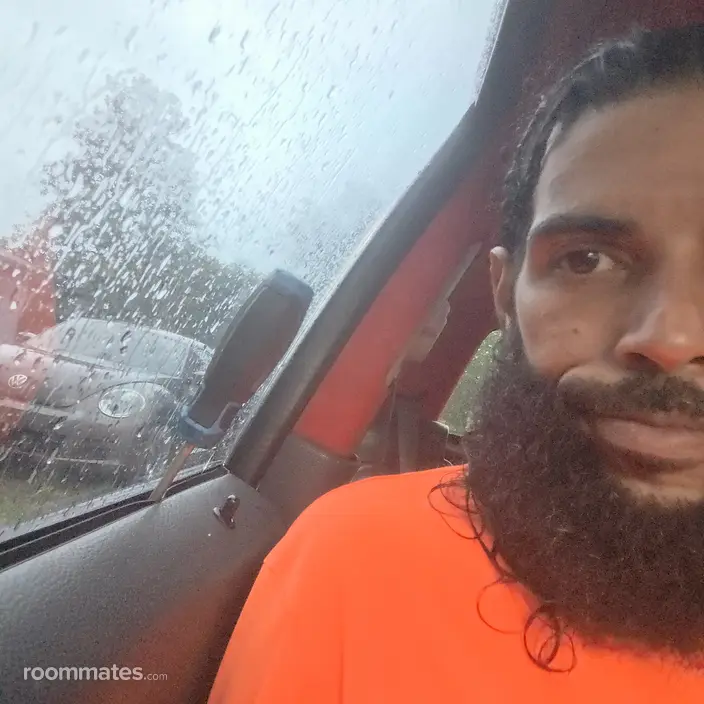 Roommate looking Bellview, FL, $1000