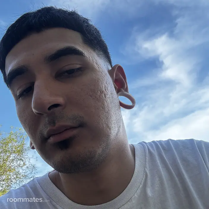 Roommate looking Phoenix, AZ, $800