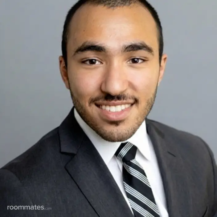 Roommate looking Evanston, IL, $1200