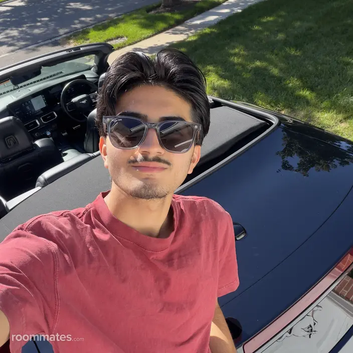 Roommate looking Schaumburg, IL, $800