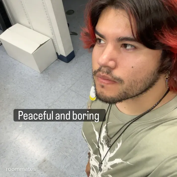 Roommate looking Los Angeles CA, $1200
