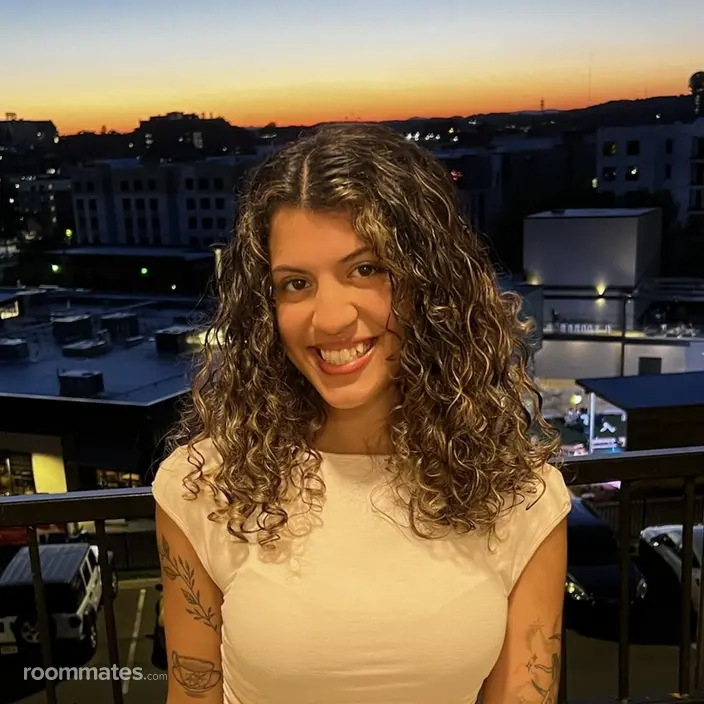 Roommate looking Dallas, TX, $700